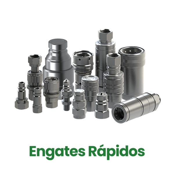 Linha_Eng.Rapi